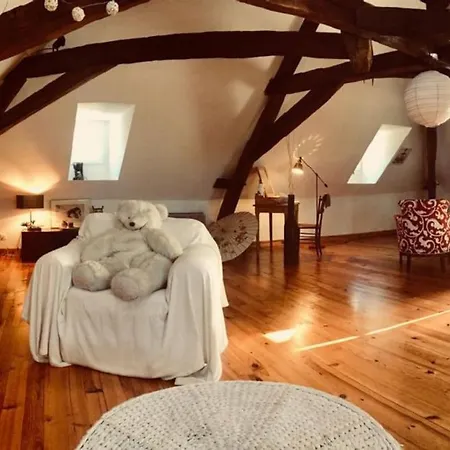 Superbe Maison De Caractere, De 1 A 9 Couchages Sainte-Maure-de-Touraine Exterior foto