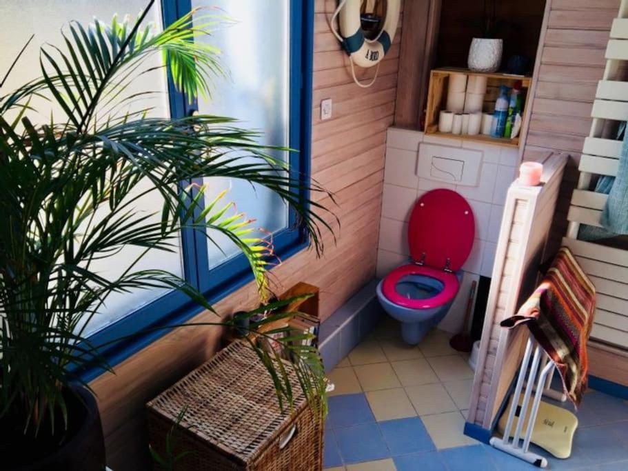 Superbe Maison De Caractere, De 1 A 9 Couchages Ferienhaus Sainte-Maure-de-Touraine